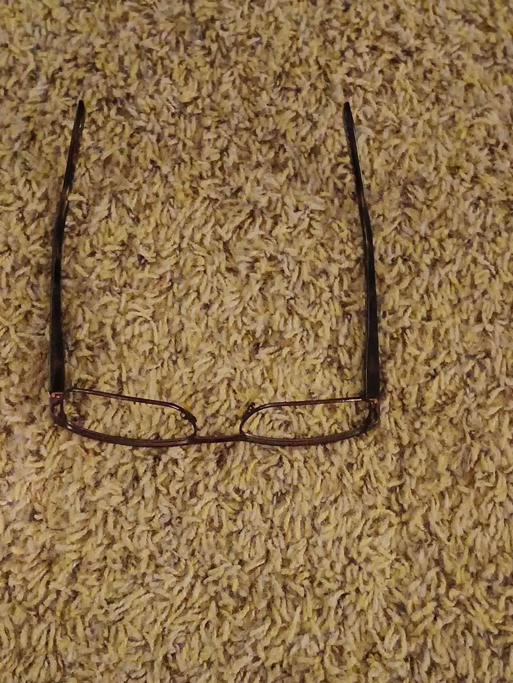 Carrera Men's Rectangular Glasses in Dark Brown and Black Frames Only.